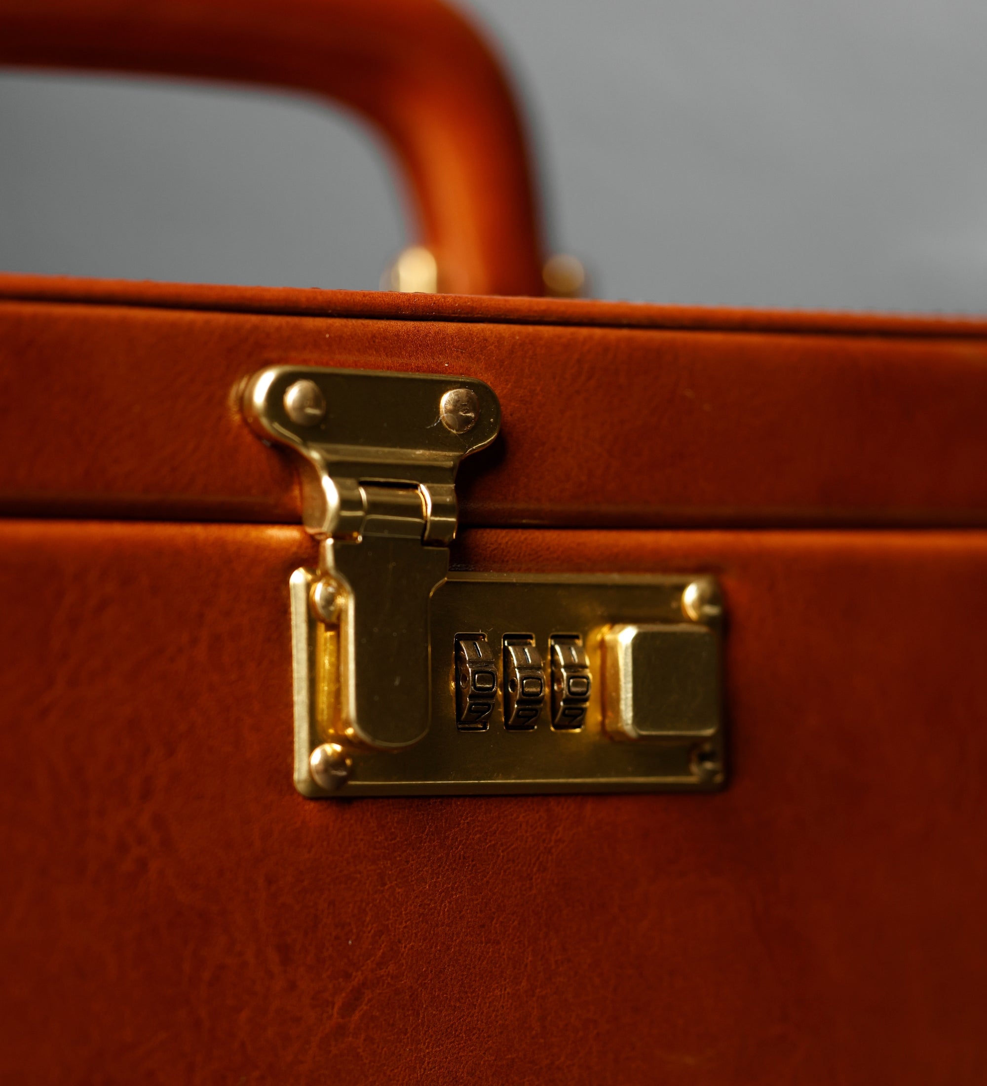 Large Leather Jewelry Box for Women - The Portrait of a Lady