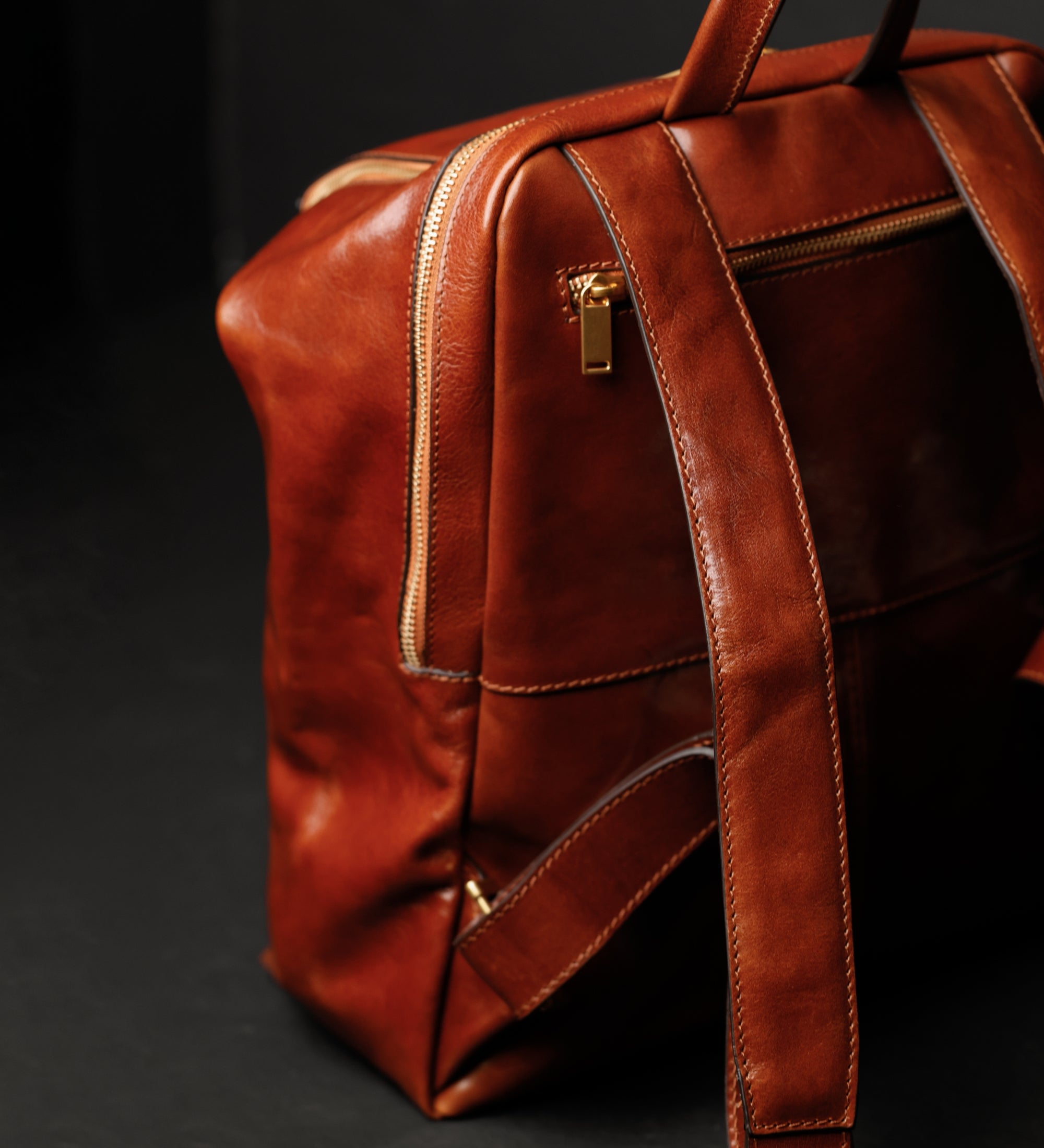 Leather Backpack for Women - A Bend in the River