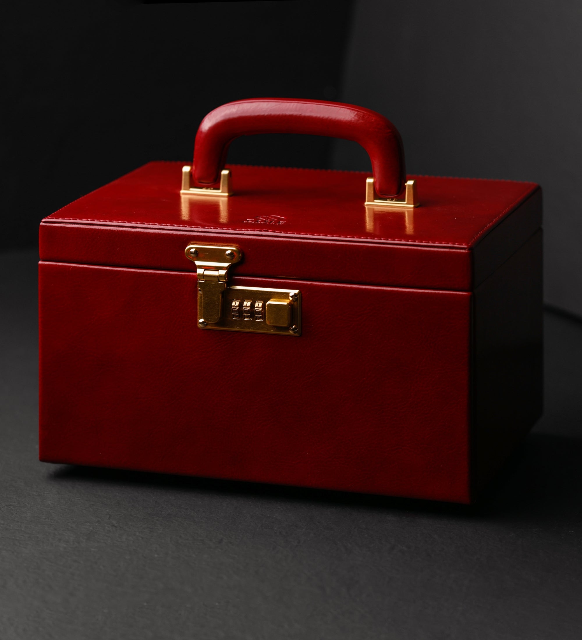 Large Leather Jewelry Box for Women - The Portrait of a Lady