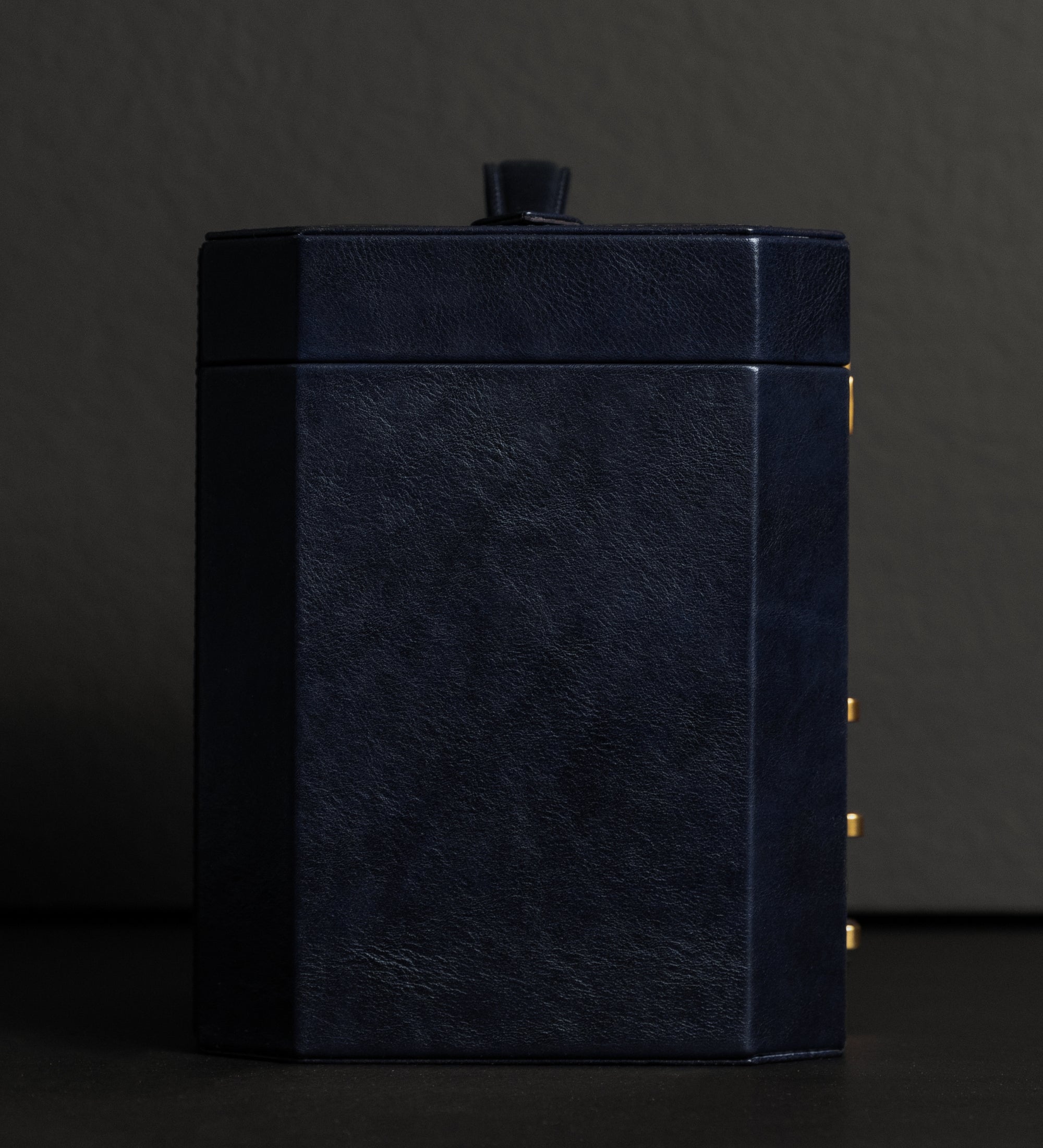 Large Leather Jewelry Box for Women - A Handful of Dust