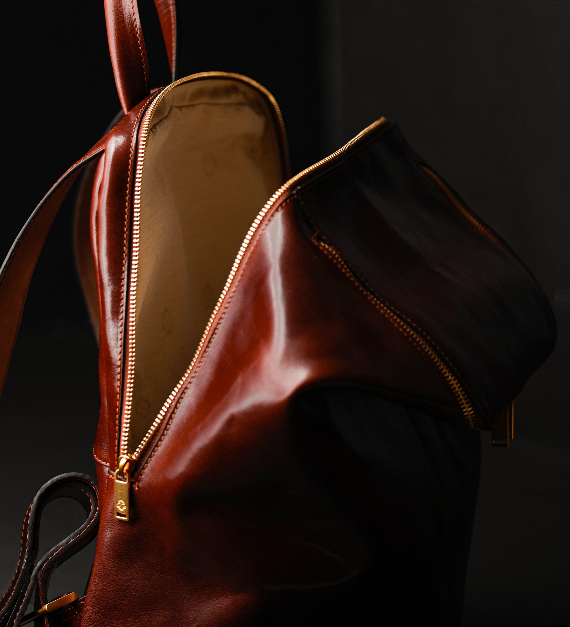 Leather Backpack for Women - A Bend in the River